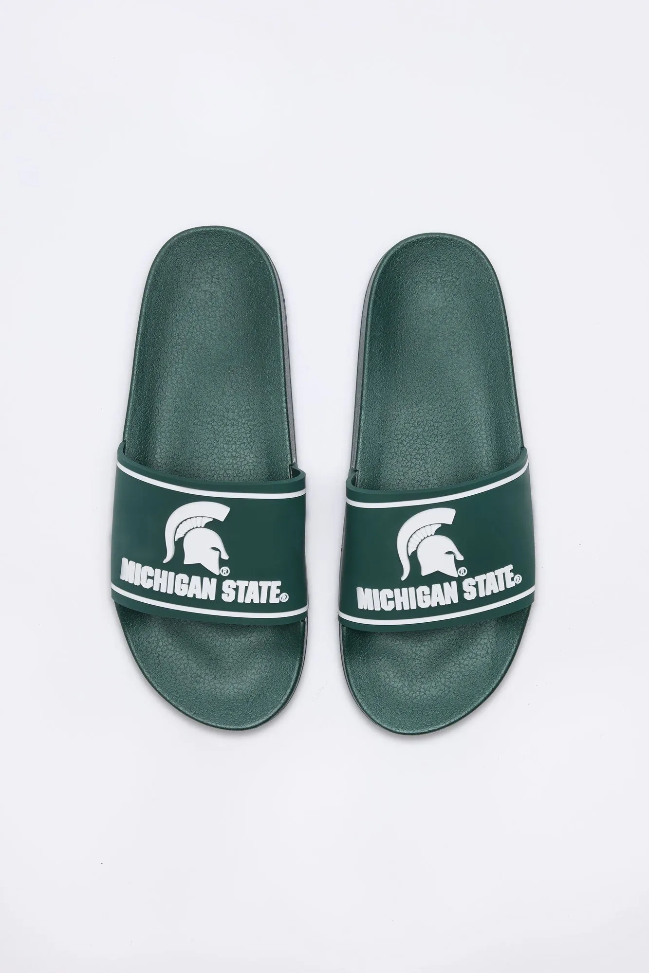 Michigan State Slides