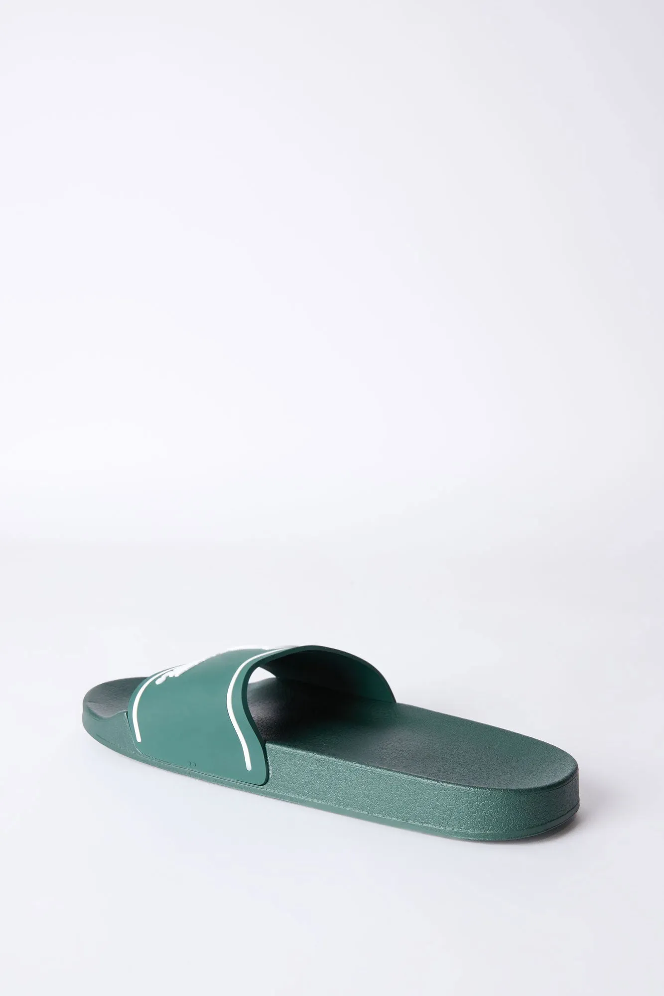 Michigan State Slides