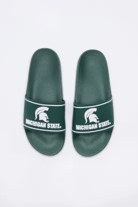 Michigan State Slides