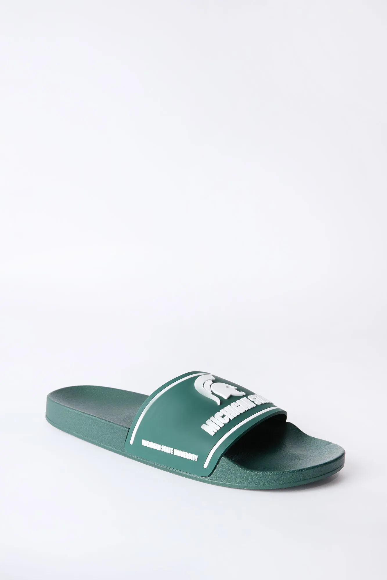 Michigan State Slides